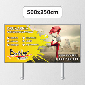 Billboard plakat BBS Blueback 500 × 250 cm 12,5 m² — podgląd produktu