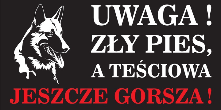 Tabliczka UWAGA PIES — 30 × 15 cm — podgląd produktu