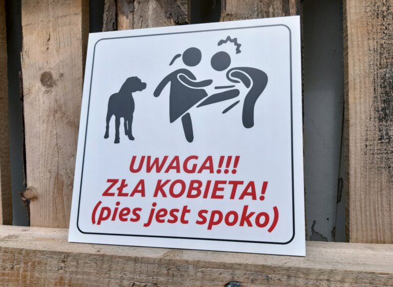 TABLICZKA OSTRZEGAWCZA (pies jest spoko) — podgląd produktu