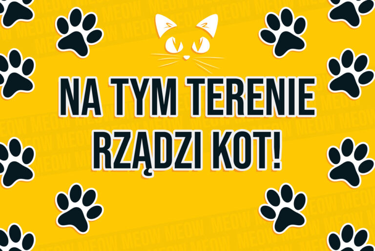 TABLICZKA KOT RZĄDZI — podgląd produktu