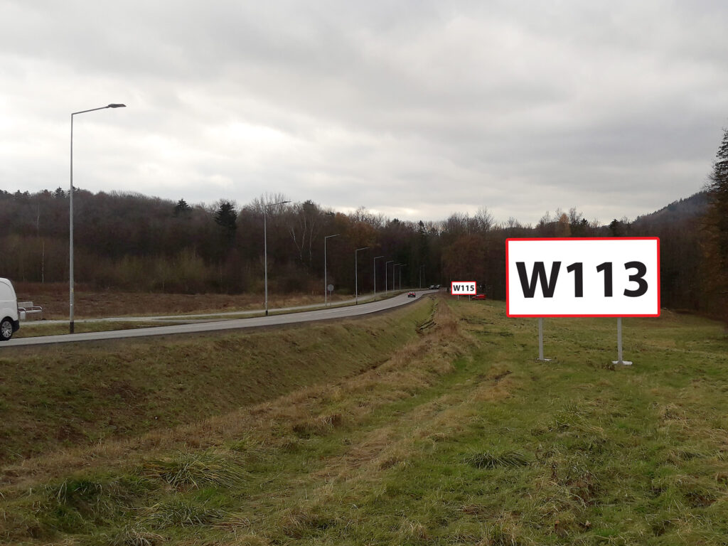 W113 — Wałbrzych · ul. Strzegomska DW379 — podgląd produktu