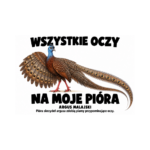 Argus malajski — Argus malajski — zestaw 10 różnych naklejek
