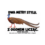 Argus malajski — Argus malajski — zestaw 10 różnych naklejek