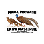Argus malajski — Argus malajski — zestaw 10 różnych naklejek