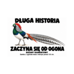 Bażant diamentowy — Bażant diamentowy — zestaw 10 różnych naklejek