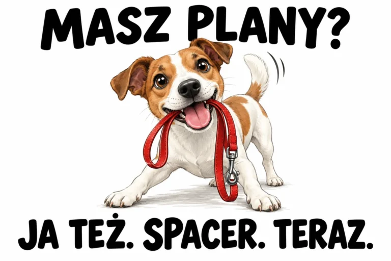 MASZ PLANY? — JA TEŻ. SPACER. TERAZ.