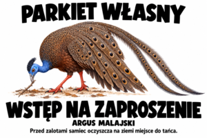 Argus malajski — PARKIET WŁASNY