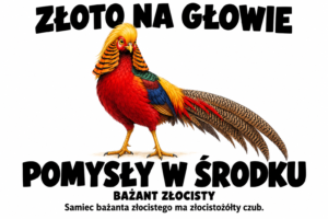Bażant złocisty — ZŁOTO NA GŁOWIE