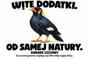 Gwarek czczony — ŻÓŁTE DODATKI