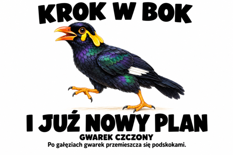 Gwarek czczony — KROK W BOK
