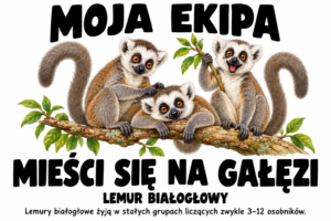 Lemur białogłowy — MOJA EKIPA