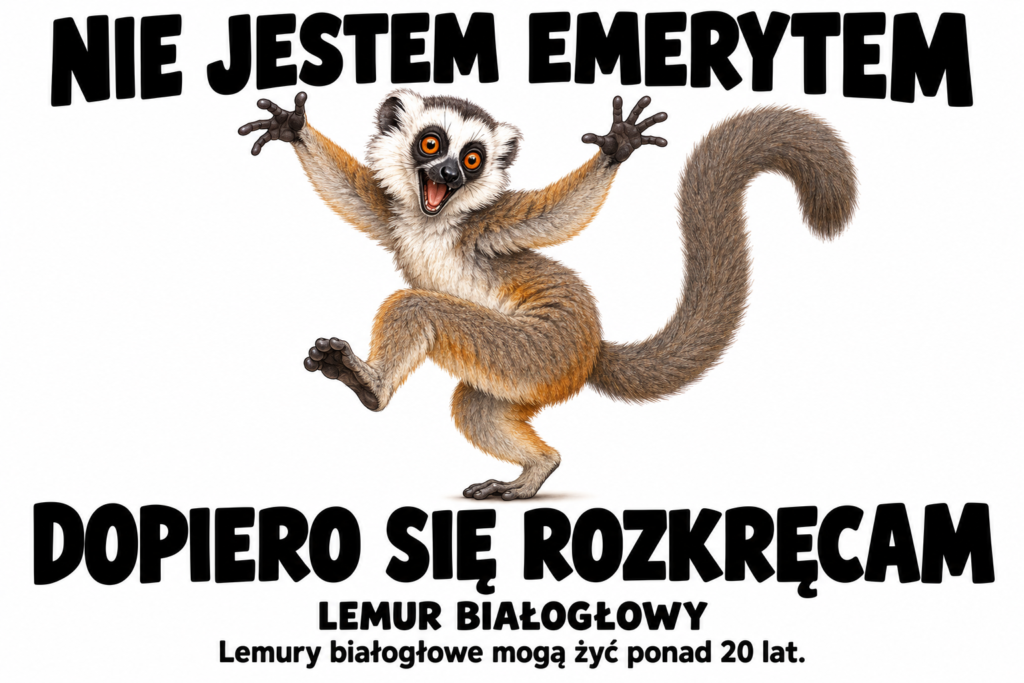 Lemur białogłowy — NIE JESTEM EMERYTEM