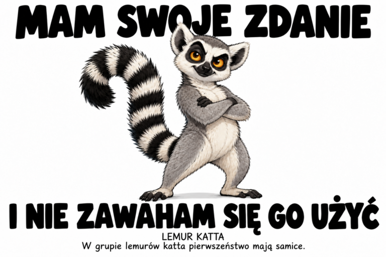 Lemur katta — MAM SWOJE ZDANIE