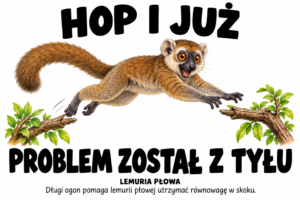 Lemuria płowa — HOP I JUŻ