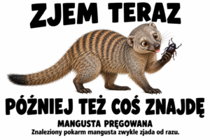 Mangusta pręgowana — ZJEM TERAZ