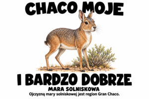 Mara solniskowa — CHACO MOJE