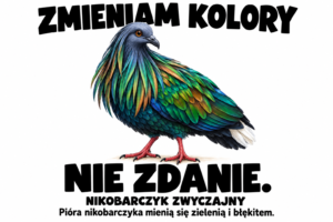 Nikobarczyk zwyczajny — ZMIENIAM KOLORY