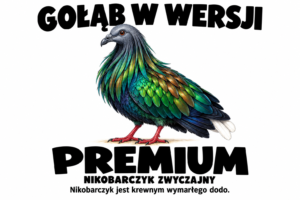 Nikobarczyk zwyczajny — GOŁĄB W WERSJI