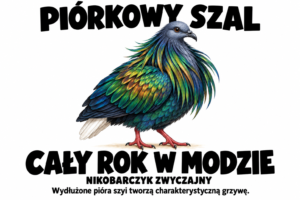 Nikobarczyk zwyczajny — PIÓRKOWY SZAL