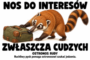 Ostronos rudy — NOS DO INTERESÓW