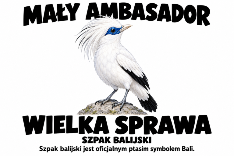 Szpak balijski — MAŁY AMBASADOR