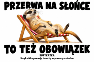 Surykatka — PRZERWA NA SŁOŃCE