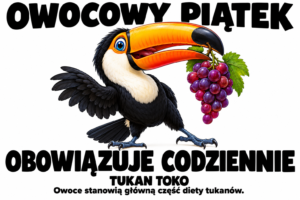 Tukan toko — OWOCOWY PIĄTEK