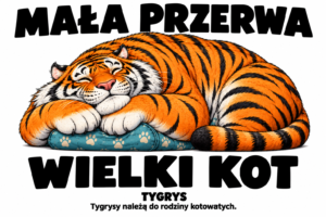 Tygrys — MAŁA PRZERWA