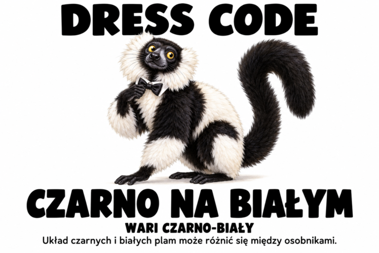 Wari czarno-biały — DRESS CODE