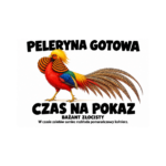 Bażant złocisty — Bażant złocisty — zestaw 10 różnych naklejek