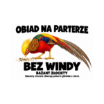 Bażant złocisty — Bażant złocisty — zestaw 10 różnych naklejek