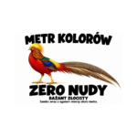 Bażant złocisty — Bażant złocisty — zestaw 10 różnych naklejek