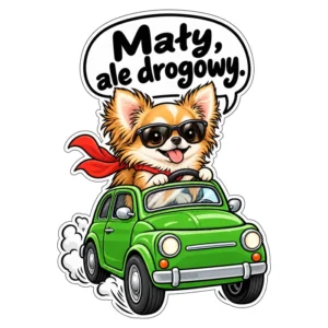 Magnes na auto — Mały, ale drogowy. — 20 cm
