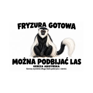 Gereza abisyńska — zestaw 10 różnych naklejek