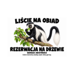Gereza abisyńska — Gereza abisyńska — zestaw 10 różnych naklejek