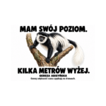 Gereza abisyńska — Gereza abisyńska — zestaw 10 różnych naklejek