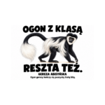 Gereza abisyńska — Gereza abisyńska — zestaw 10 różnych naklejek