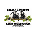 Gereza abisyńska — Gereza abisyńska — zestaw 10 różnych naklejek