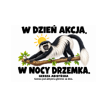 Gereza abisyńska — Gereza abisyńska — zestaw 10 różnych naklejek