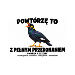 Gwarek czczony — zestaw 10 różnych naklejek