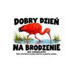 Ibis szkarłatny — Ibis szkarłatny — zestaw 10 różnych naklejek