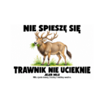 Jeleń milu — Jeleń milu — zestaw 10 różnych naklejek