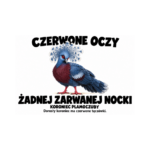 Koroniec plamoczuby — Koroniec plamoczuby — zestaw 10 różnych naklejek