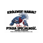 Koroniec plamoczuby — Koroniec plamoczuby — zestaw 10 różnych naklejek