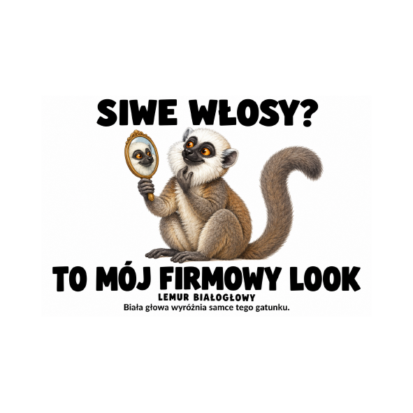 Lemur białogłowy — Lemur białogłowy — zestaw 10 różnych naklejek