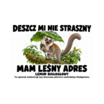 Lemur białogłowy — Lemur białogłowy — zestaw 10 różnych naklejek
