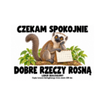 Lemur białogłowy — Lemur białogłowy — zestaw 10 różnych naklejek