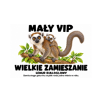 Lemur białogłowy — Lemur białogłowy — zestaw 10 różnych naklejek