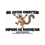 Lemur białogłowy — Lemur białogłowy — zestaw 10 różnych naklejek