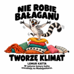 Lemur katta — Lemur katta — zestaw 10 różnych naklejek
